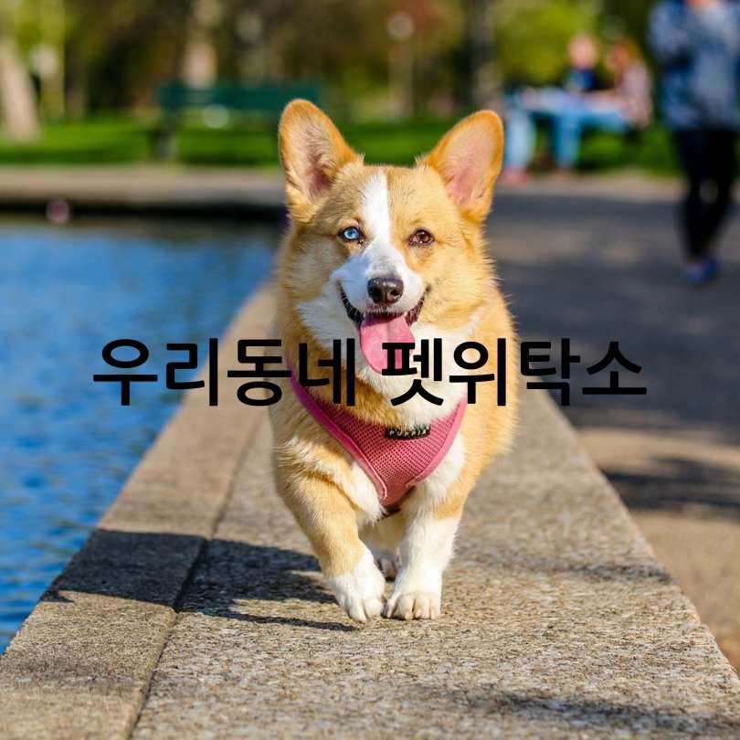 1인가구를 위한 서울시 맞춤형 지원