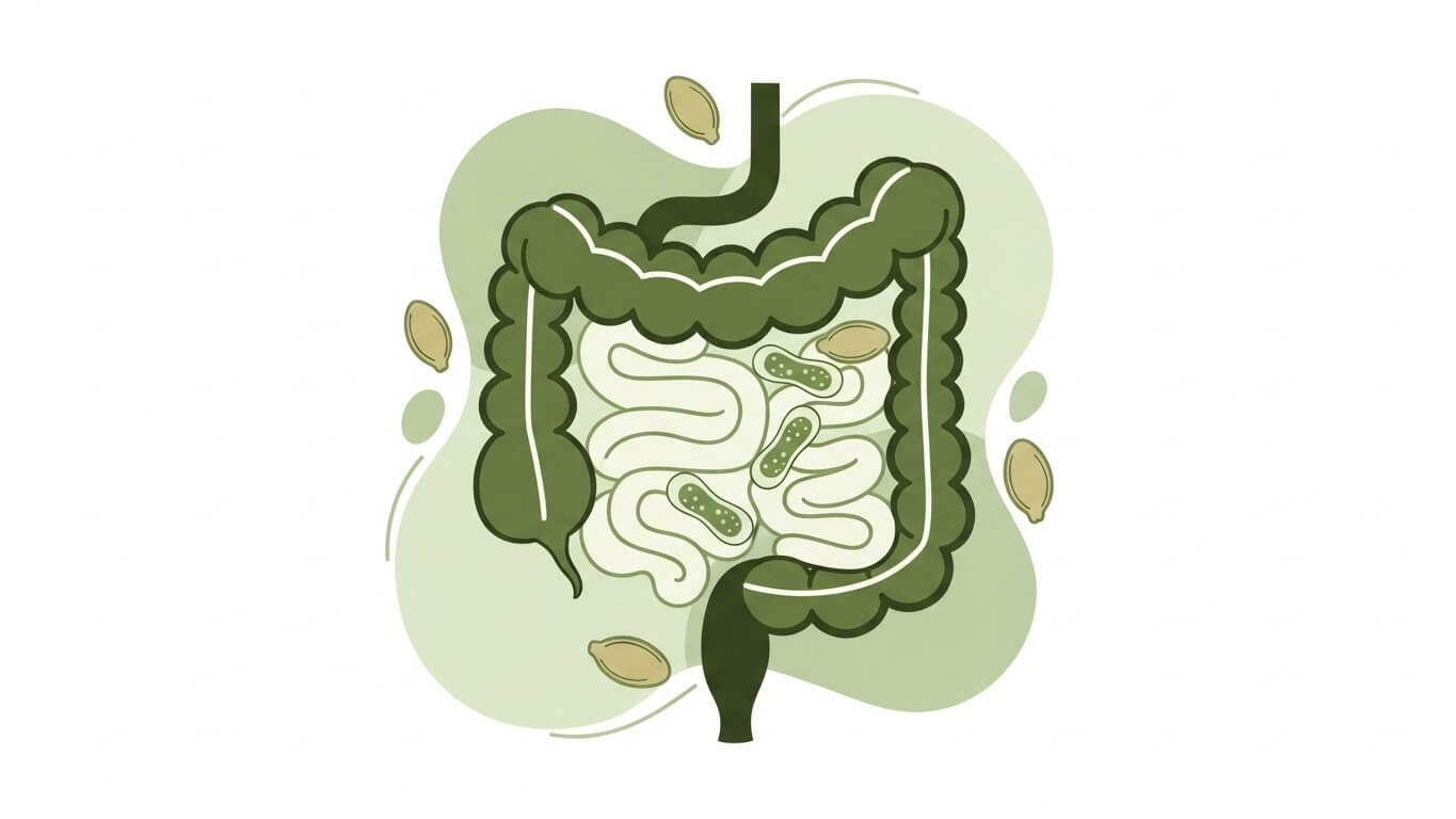 3. 식이섬유 &ndash; 장내 면역력 강화