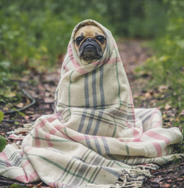 에너지 바우처 신청방법