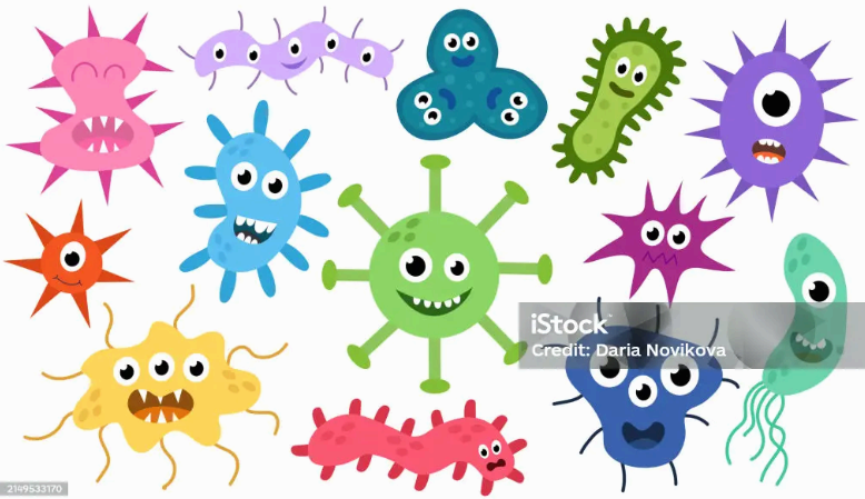 (마이코플라즈마) Mycoplasma genitalium vs Mycoplasma hominis (증상·검사·치료)