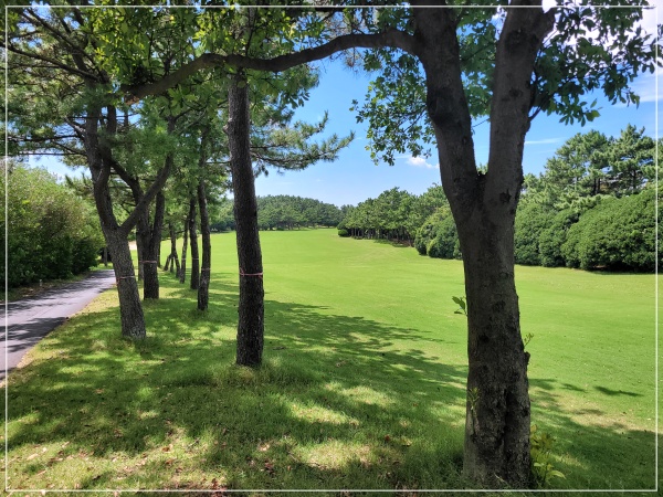 중문-해안코스-1번홀