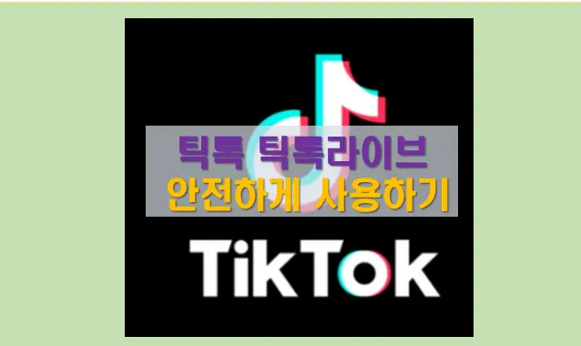 틱톡 틱톡라이트 개인정보 유출방지팁