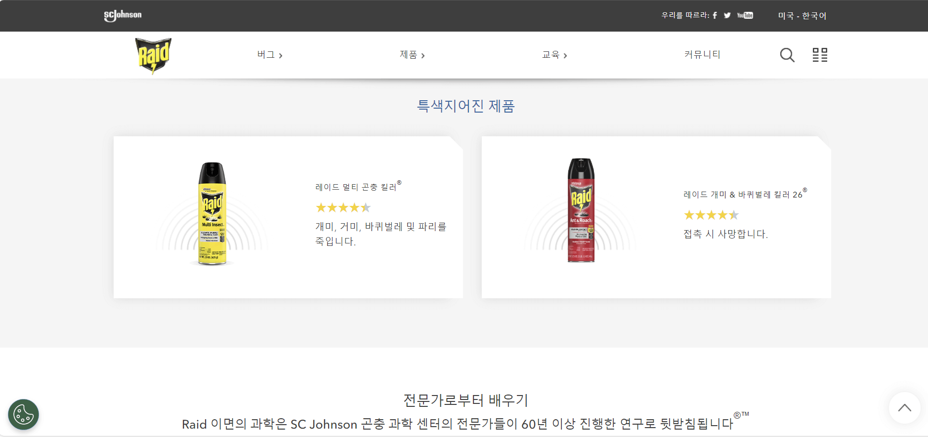 레이드 맥스 바퀴벌레 살충제