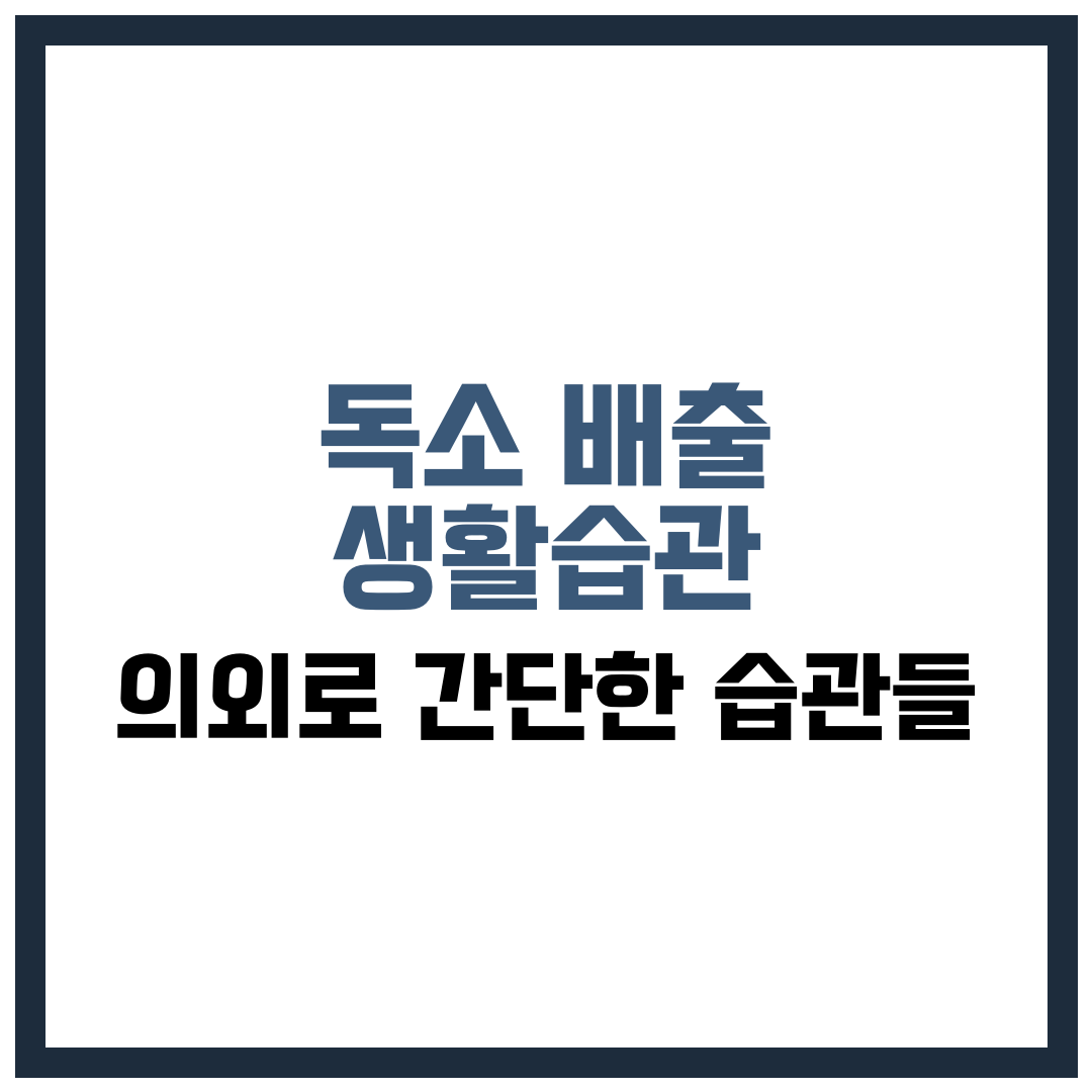 독소 배출 생활 습관