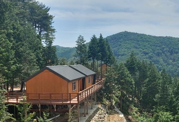 [경남 여행지 추천] 하동 가볼만한 곳 베스트 10 하동 편백자연휴양림