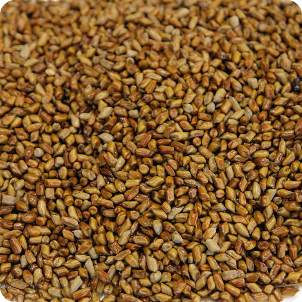 간에-좋은-음식