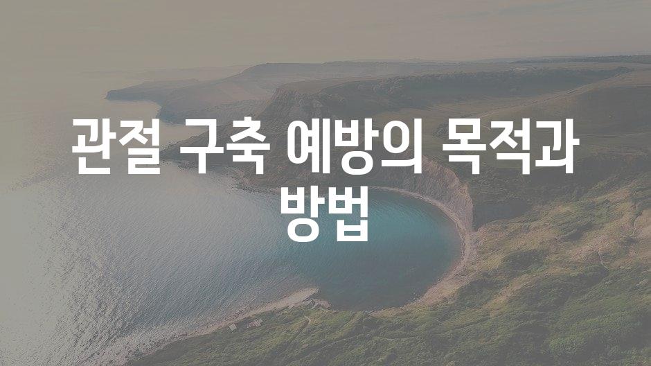 샘플 (11)