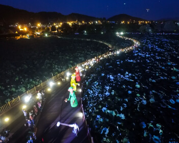 무안 연꽃축제 야간_3