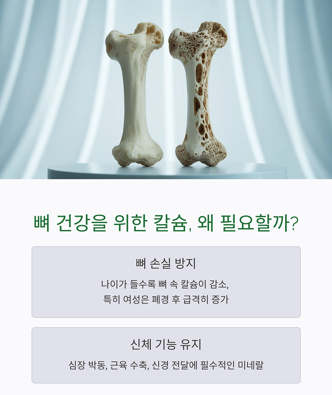 시니어 칼슘 보충, 음식과 영양제 제대로 챙기는 방법