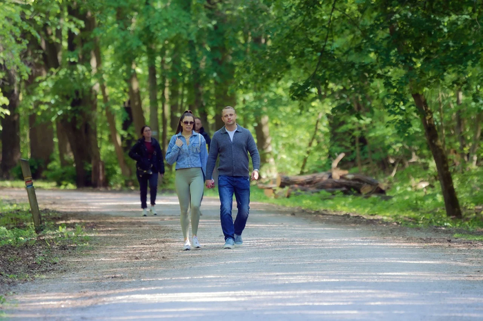 100세 인생 걷기 건강법