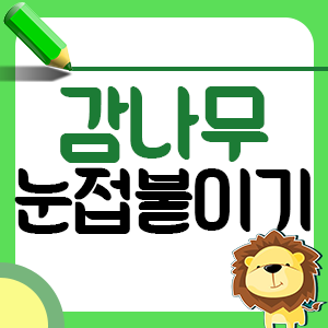 감나무 눈접붙이기 완벽 가이드: 달콤한 열매를 향한 여정1