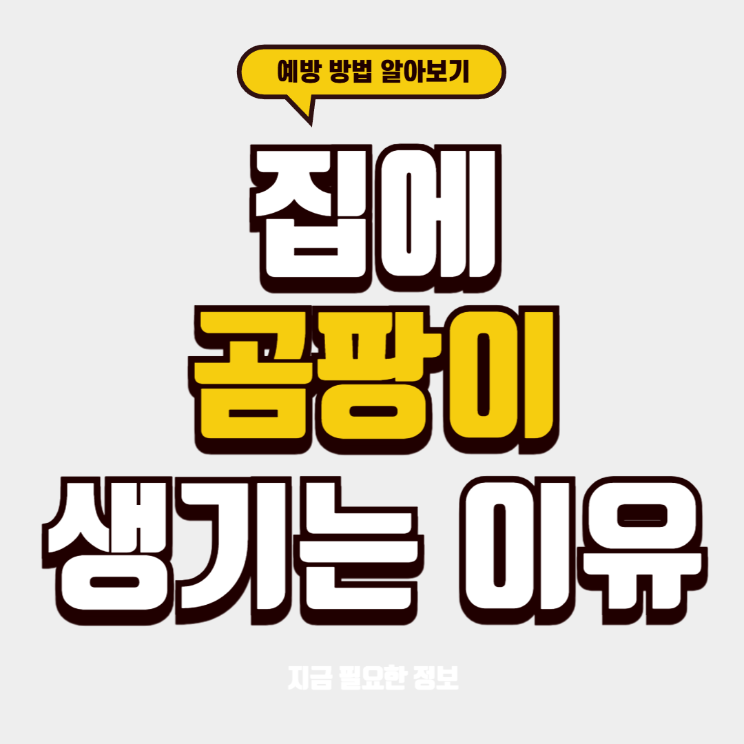 집에 곰팡이가 반복해서 생긴다면 놓치면 안될 원인