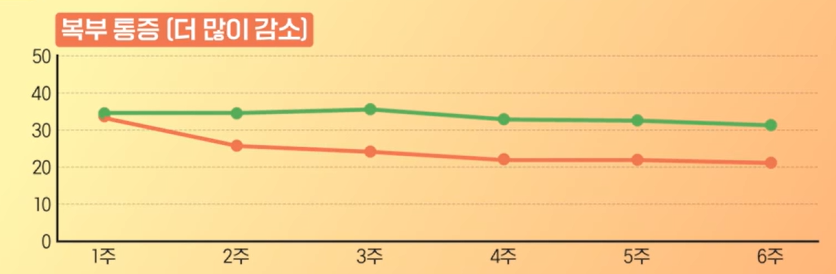 카무트 효소 효능