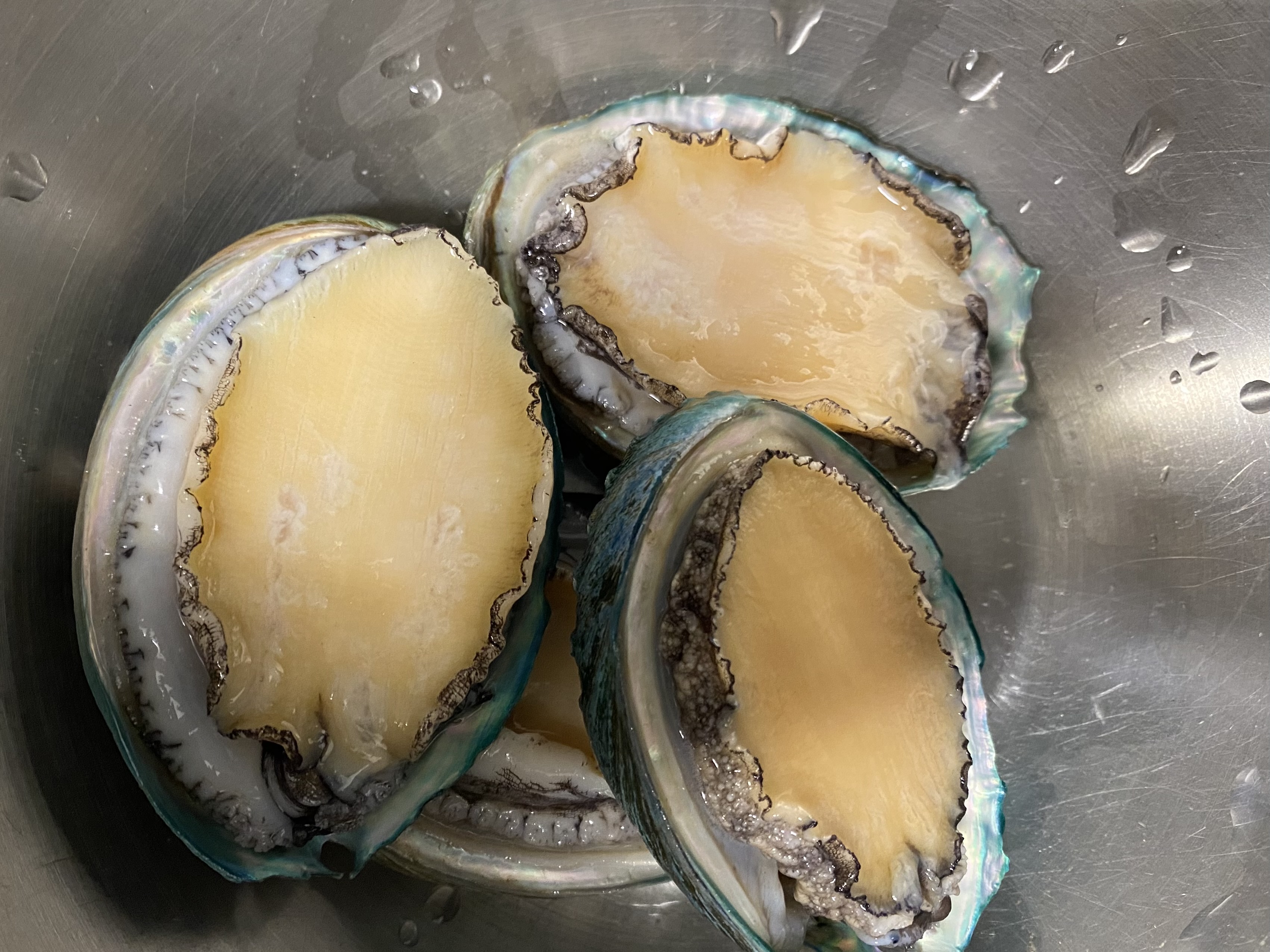 전복 솔로 씻은 후 사진