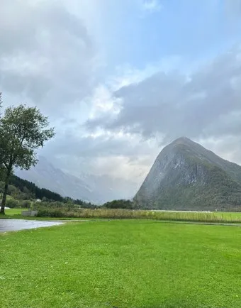 비료 주는 시기 기비 추비 요소 인산 가리 엽면시비_15