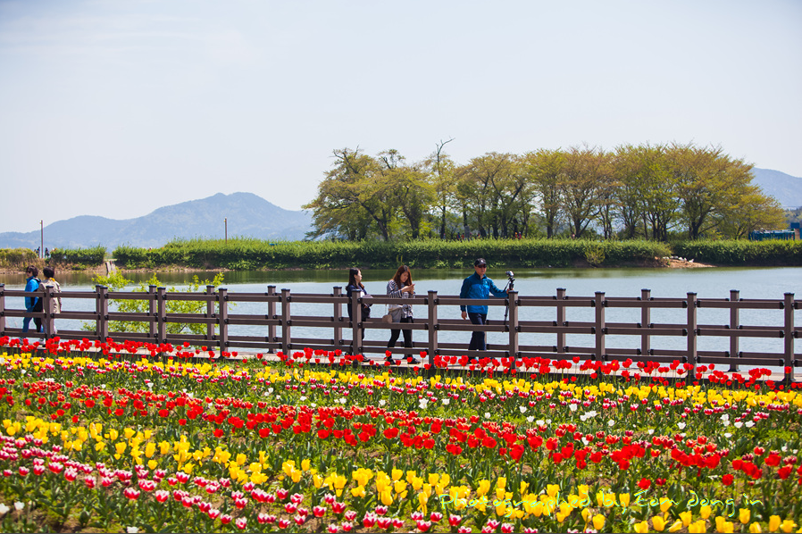 남해-장평지-사진1