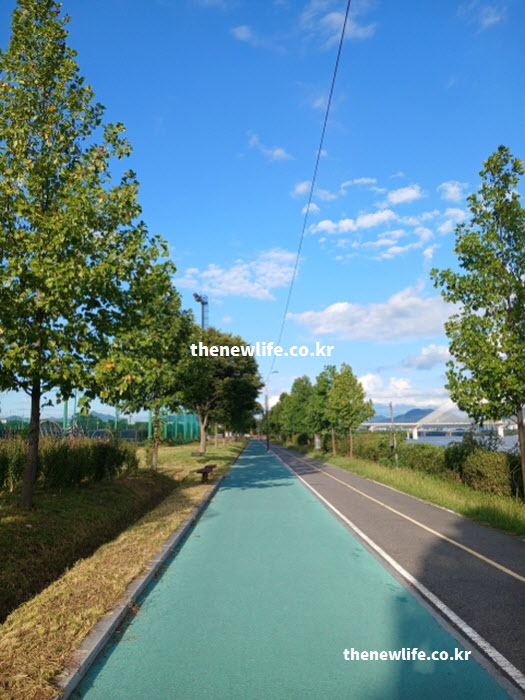 약 없이 고지혈증을 극복하기 위해 매일 실천했던 걷기 운동 산책로 실사진