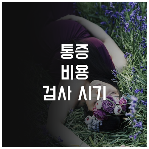 난임 검사 난관조영술 통증과 비용 및..