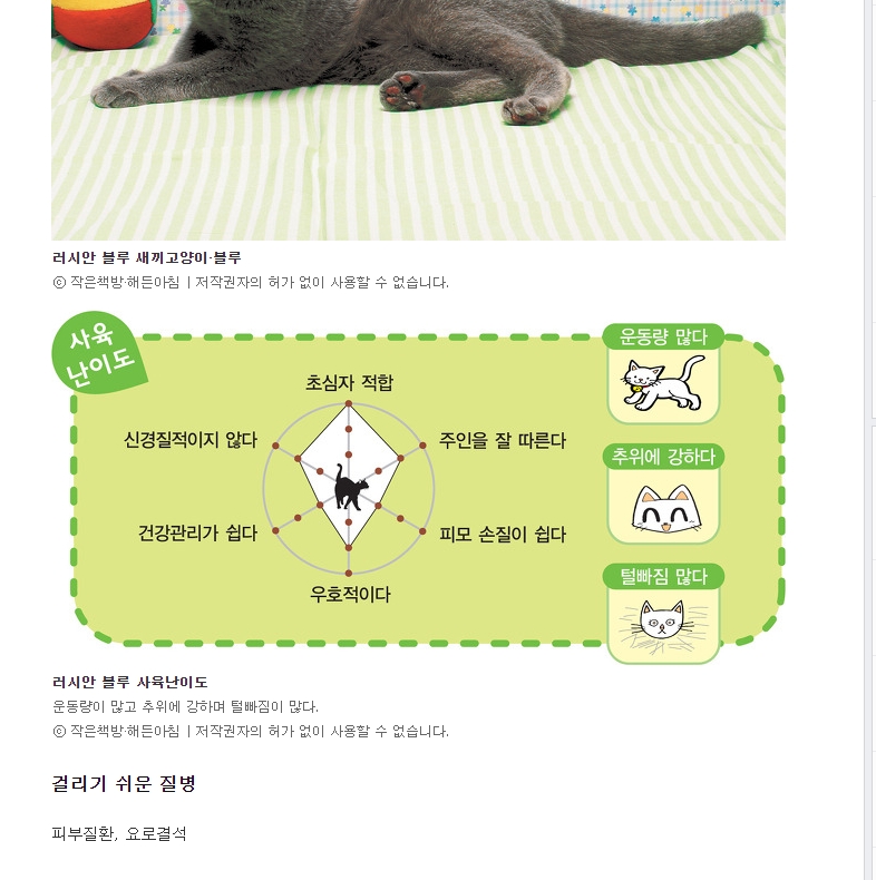 러시안 블루의 사육 난이도 정보가 보이는 화면