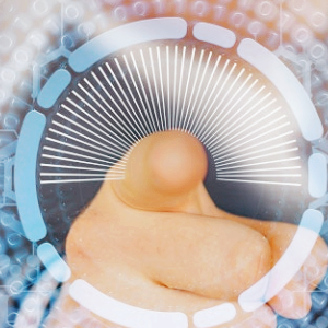 미국 보안 관련주 대장주 보안주 TOP5