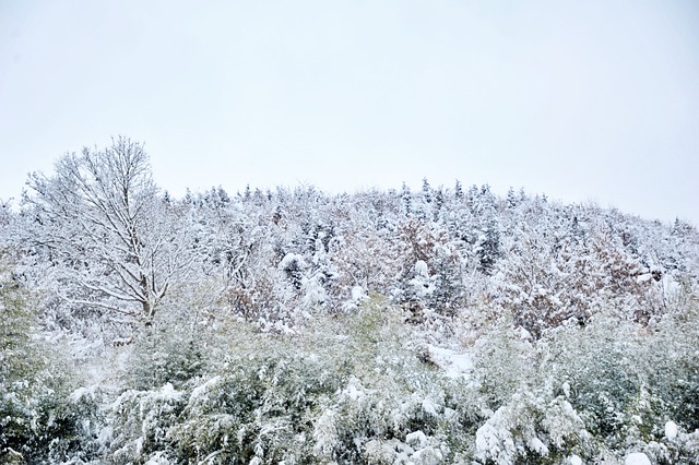 2021년 1월 대표기도문 모음