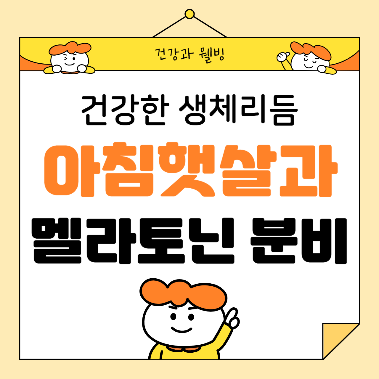 아침 햇살과 멜라토닌 분비의 관계: 건강한 생체리듬을 위한 자연의 선물