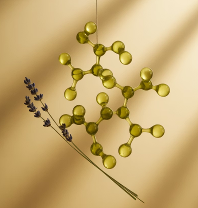 아보카도 오일 효능