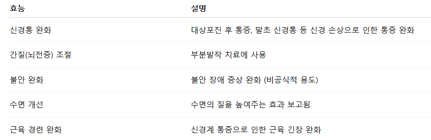 가바펜틴의 주요 효능