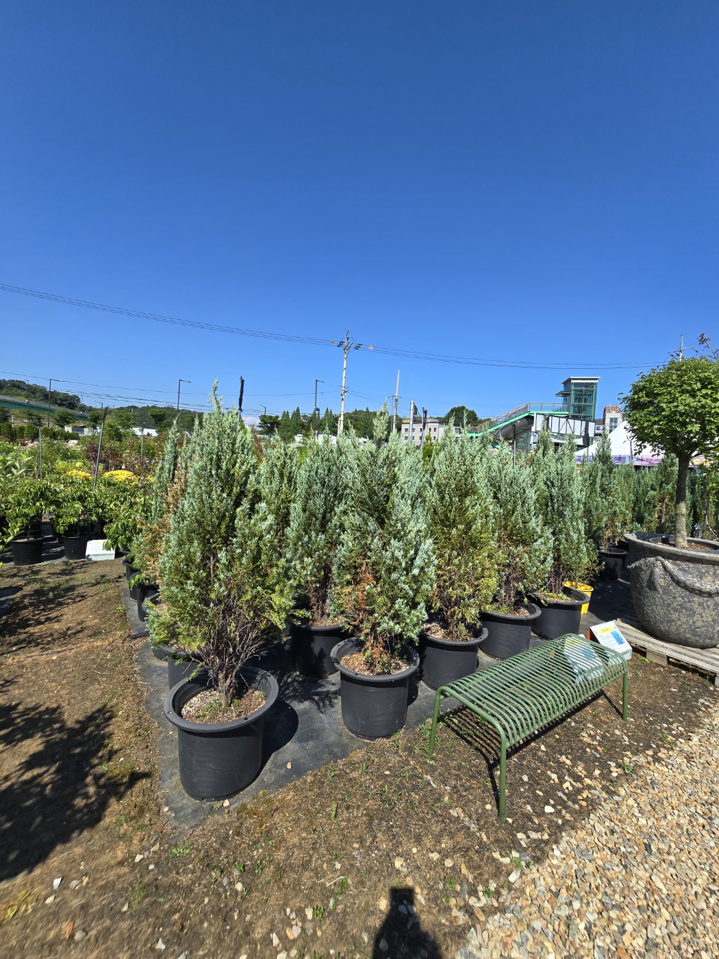 다양한나무들이 소품부터 중품대품까지 다양하게 볼 수 있어요.