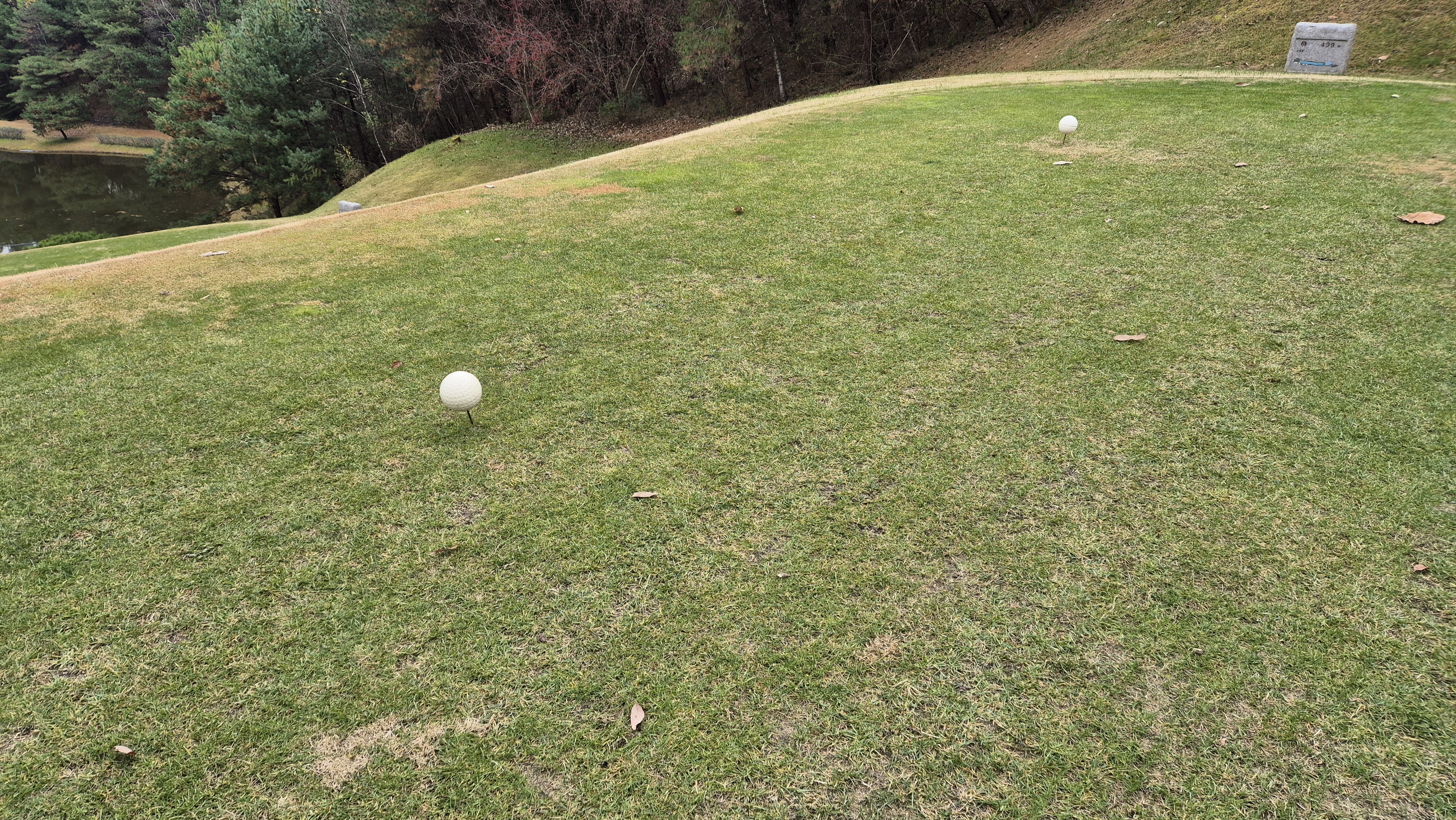 올데이 떼제베cc 가람-누리(서-남) 코스 티잉구역 상태