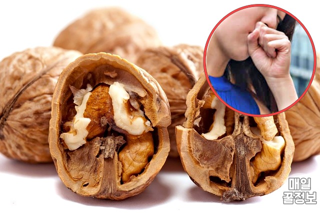 기침 빨리 낫는법,기침 멈추는데 좋은 음식 호두,건강