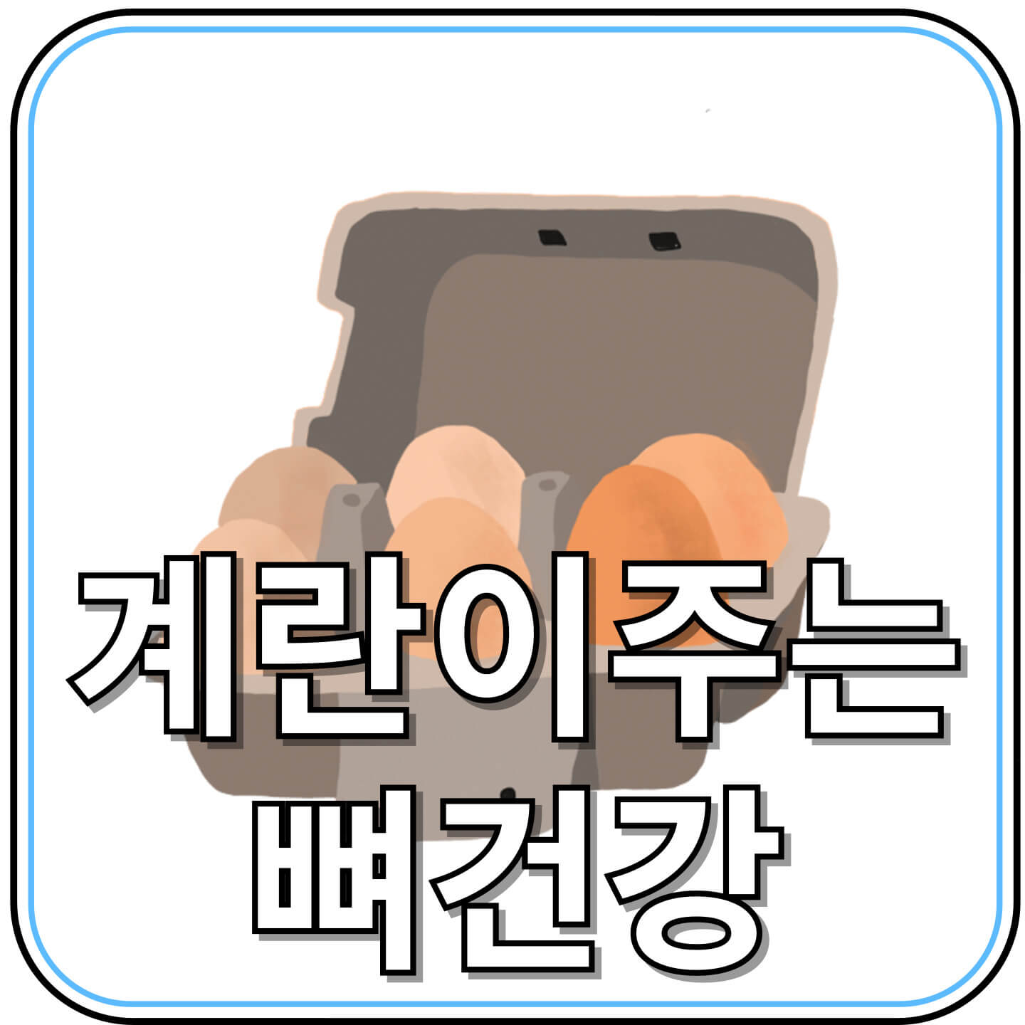 하루 한두 개, 계란이 가져다주는 뼈 건강 혁명