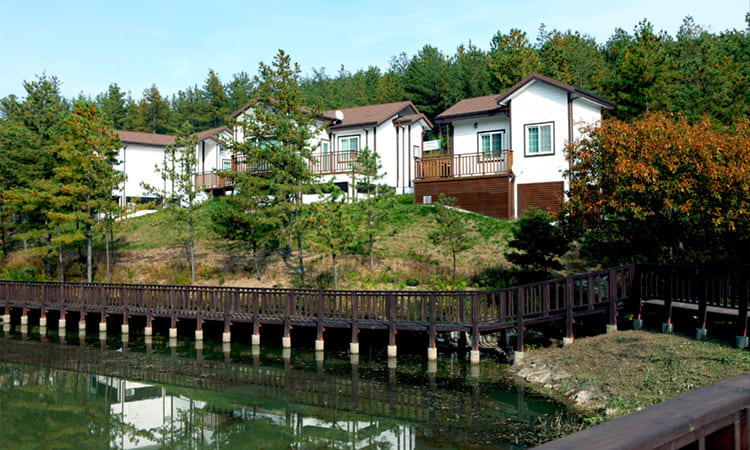 운주산 승마 자연휴양림
