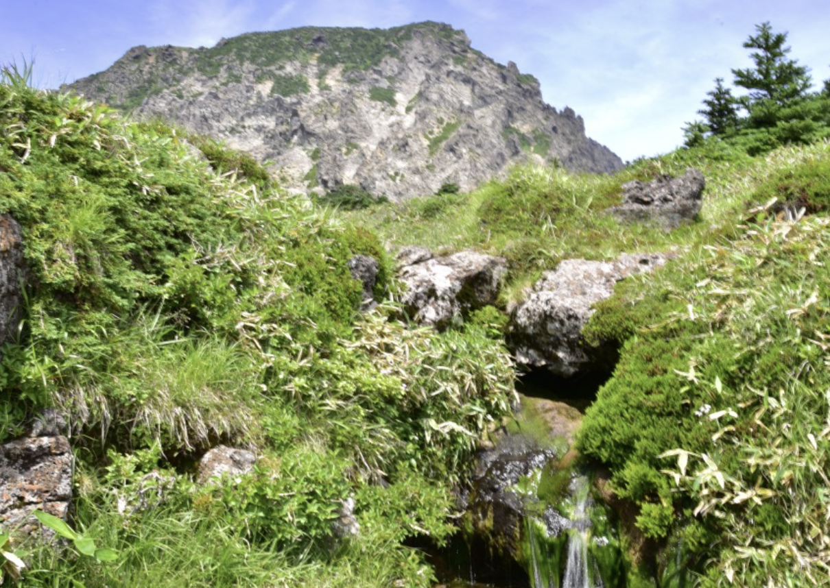 변산반도 국립공원 야영장 예약방법