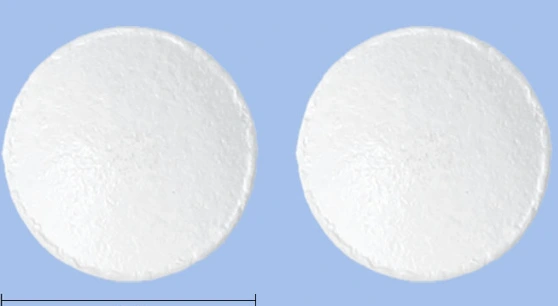 센스가드이브정