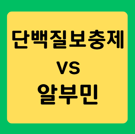 단백질 보충제와 알부민 차이점 완벽 정리