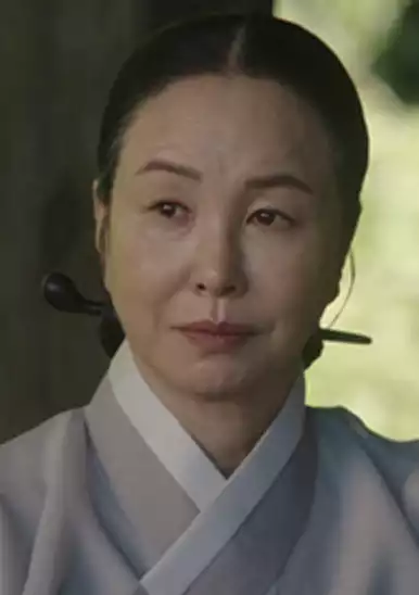 옥씨부인전 줄거리와 원작의 인물관계도, 옥씨부인전 출연진 ott 모두 보기
