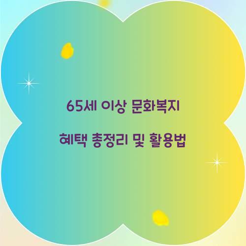 65세 이상 문화복지