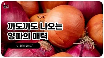 양파 먹는 방법과 양파 효능 양파 부작용 완전 가이드_9
