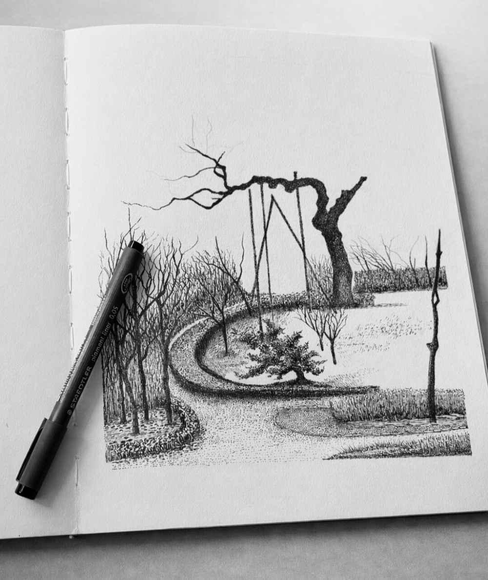 500년 회화나무 펜 드로잉 스케치 과정