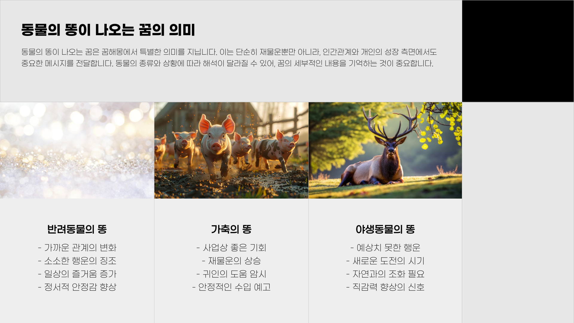 똥 꿈해몽 풀이