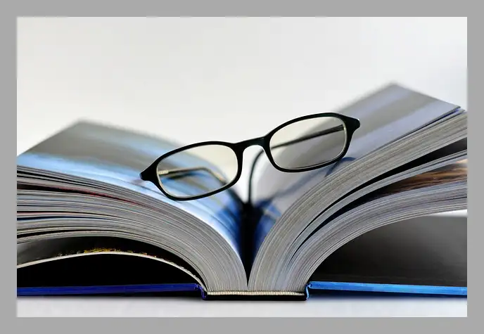 한강 채식주의자