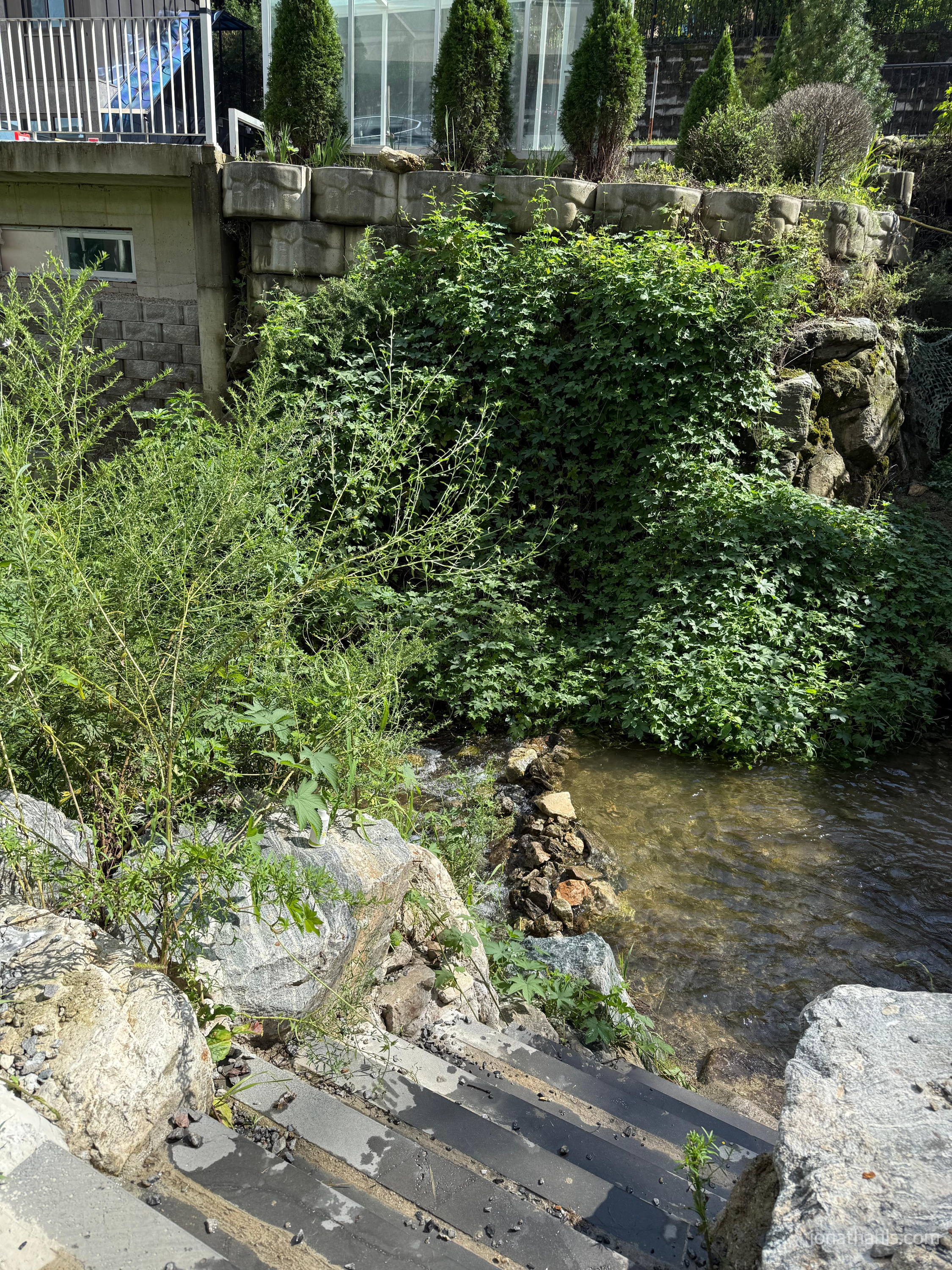용인 신봉동 몬스마리 베이커리 카페 계곡 내려가는 계단