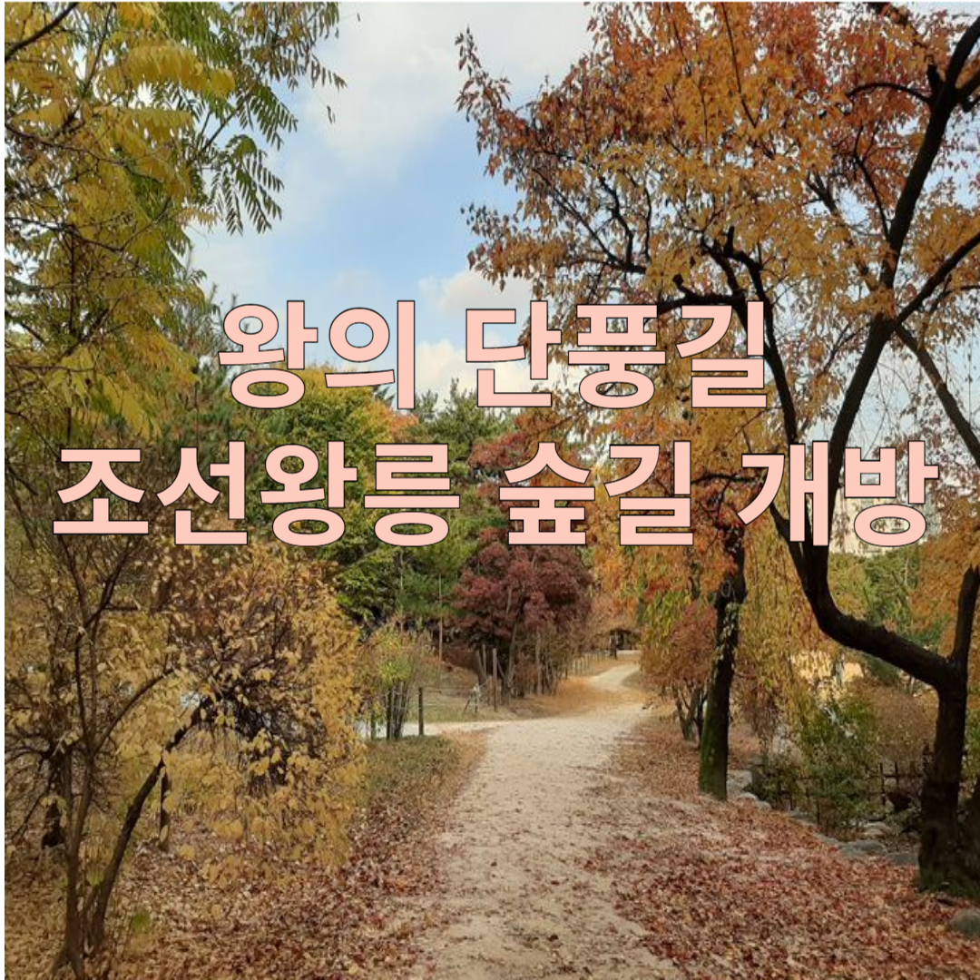 조선왕릉숲길 개방