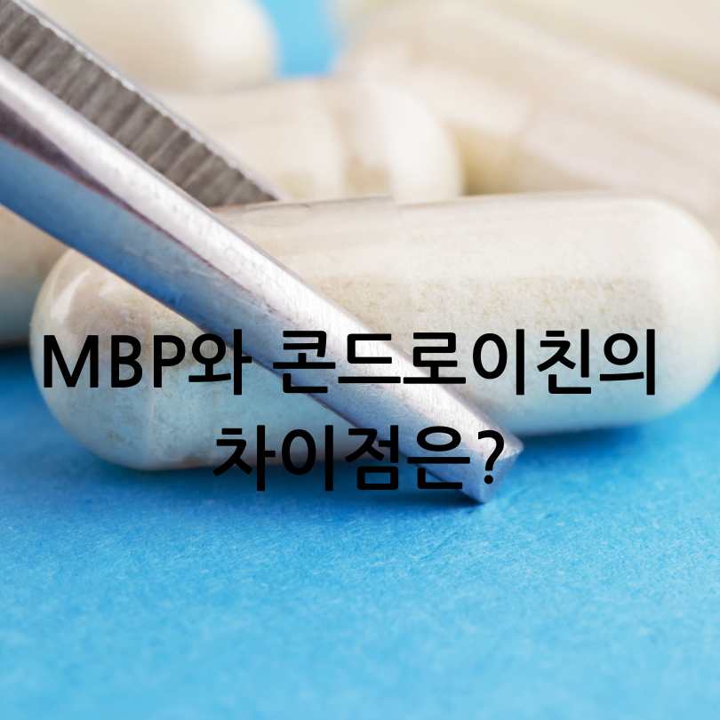 MBP과 콘드로이친 차이점