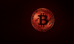 역대 미국 대선 발표 비트코인 영향 2024 예상 반응