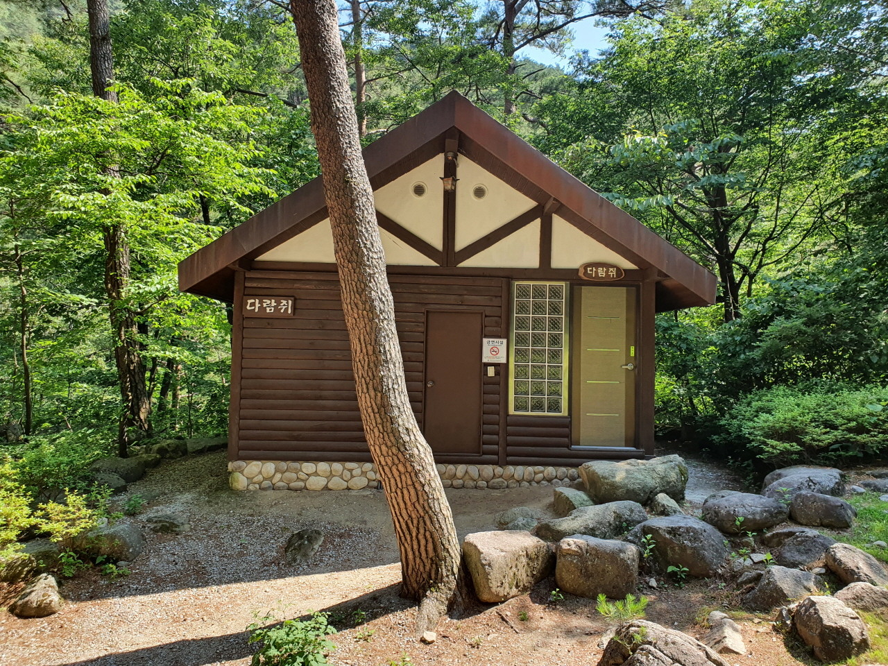 강원도 강릉 국립 대관령 자연휴양림 지도 위치 가격 예약방법 후기 날씨 정보