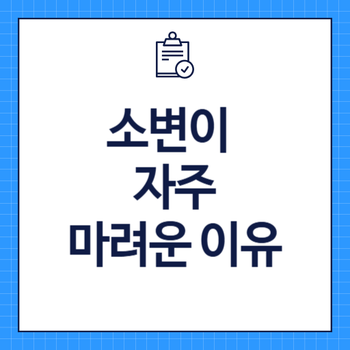 소변이 자주 마려운 증상