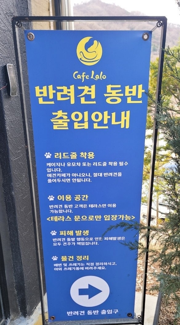 판교 브런치 맛집 카페랄로 호수뷰