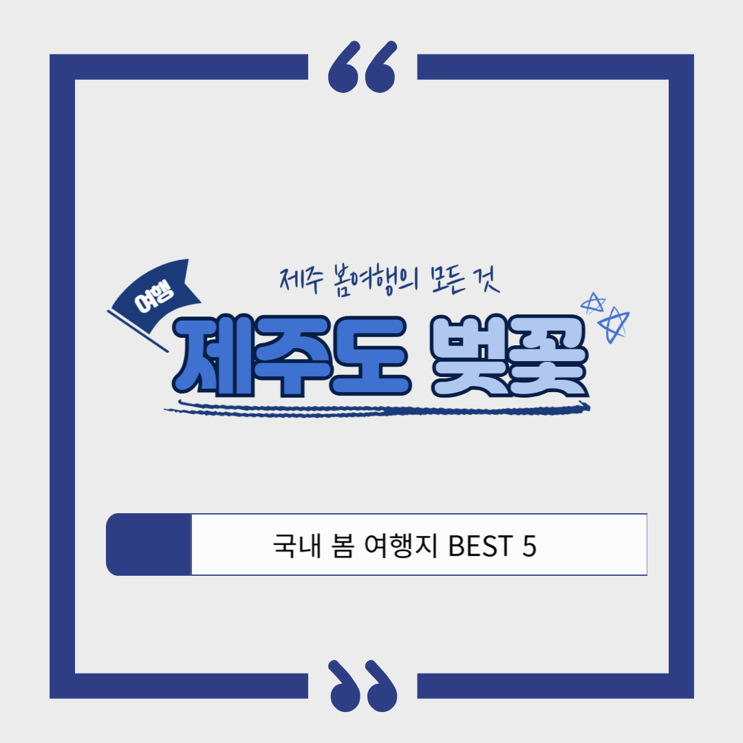 제주 벚꽃 여행 가이드 ❘ 핑크빛 왕벚꽃과 유채꽃이 어우러진 봄 여행